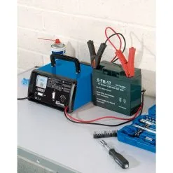 6/12V Battery Charger, 4.2A 6 6/12V Battery Charger, 4.2A -Agriculture Sales 20486 BCD5iu2 86959.1642718664