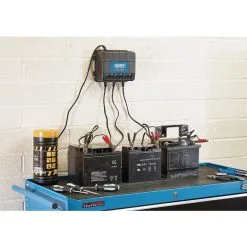 6/12V 3 Bank Charger Station 9 6/12V 3 Bank Charger Station -Agriculture Sales 53172 iu1 52453.1637880595