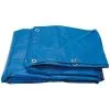 Polyethylene Tarpaulin, 4 X 6m