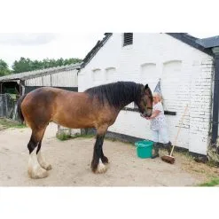 Yard Broom, 330mm -Agriculture Sales 88618 CYB B25 5iu4 66429.1642754929